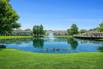 A fountain in the middle of a lake with ducks swimming around it.